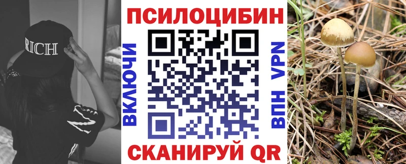 Псилоцибиновые грибы MAGIC MUSHROOMS  Люберцы 