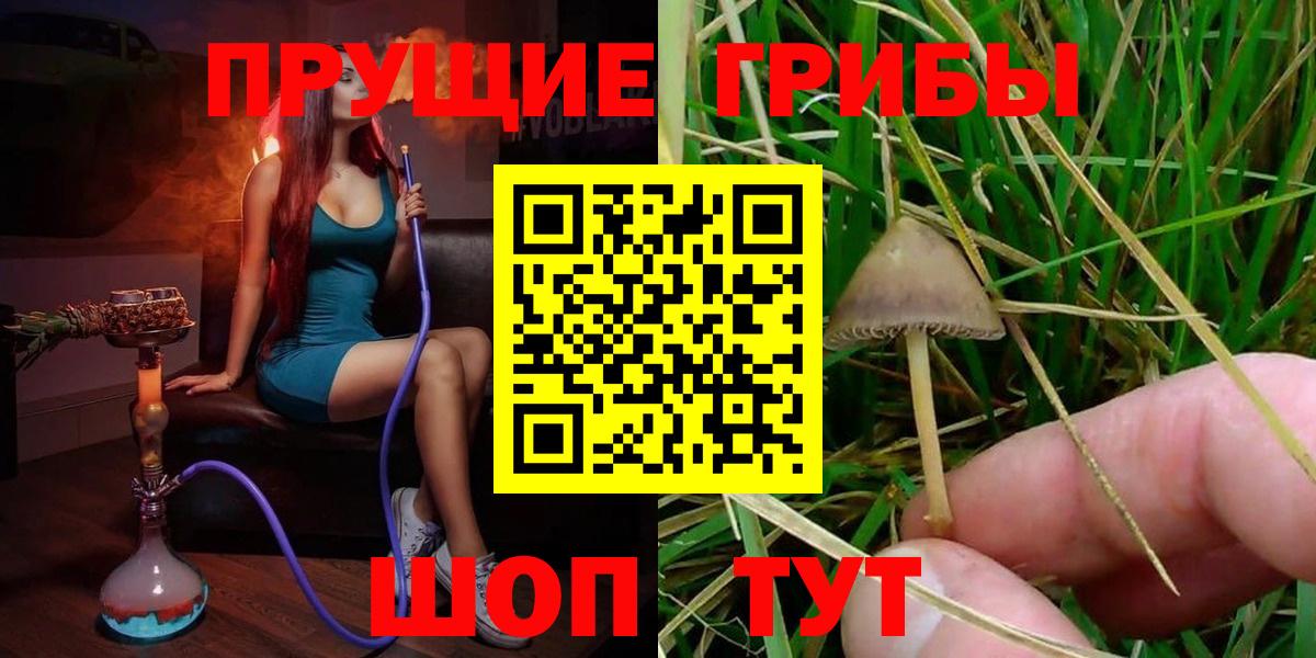 Галлюциногенные грибы Psilocybe Люберцы