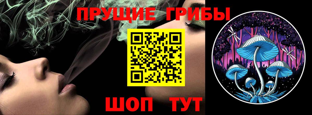 Псилоцибиновые грибы Psilocybe  Вход с VPN  цена наркотик  Люберцы 